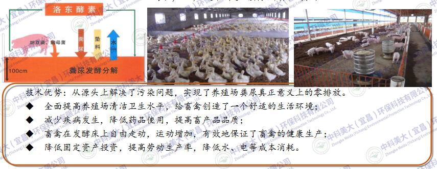 &#24320;&#20113;&#32593;&#39029;&#29256;&#95;&#24320;&#20113;&#40;&#20013;&#22269;&#41;&#23448;&#26041;
