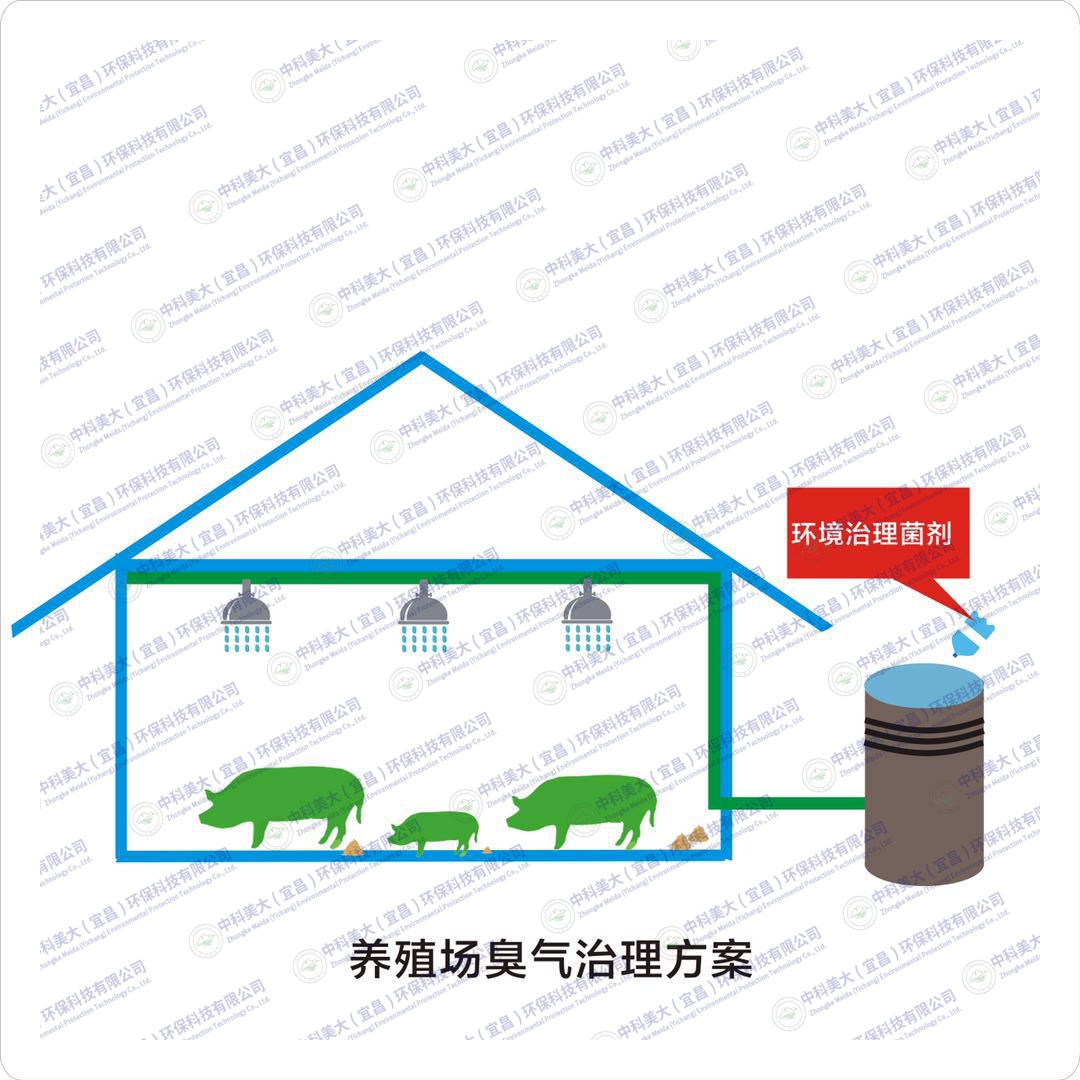 &#24320;&#20113;&#32593;&#39029;&#29256;&#95;&#24320;&#20113;&#40;&#20013;&#22269;&#41;&#23448;&#26041;
